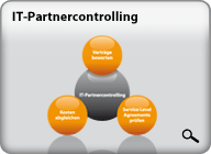 IT-Partnercontrolling
